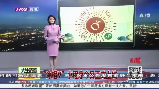 哈尔滨:“冰橙V”小程序正式上线 满足新闻、生活、政务N+需求