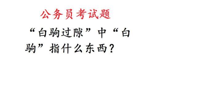 公务员考试题:“白驹过隙”,其中“白驹”指什么东西?