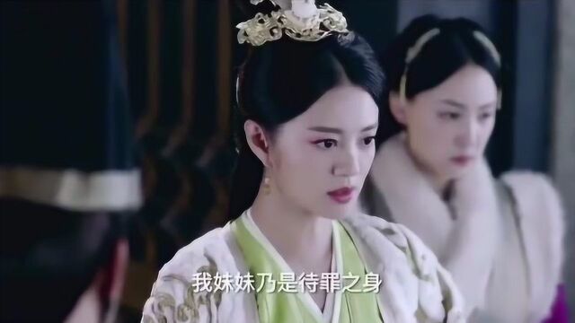 独孤天下|独孤般若霸气又护短(二),太喜欢安以轩饰演的这个角色,太飒了