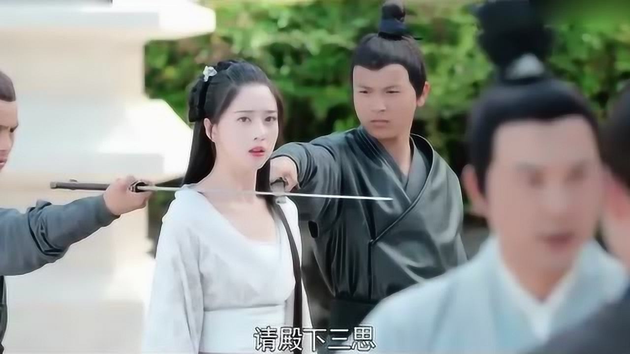山寨小萌主杀手把刀架在了太子妃的脖子上太子妃身上的疑点颇多