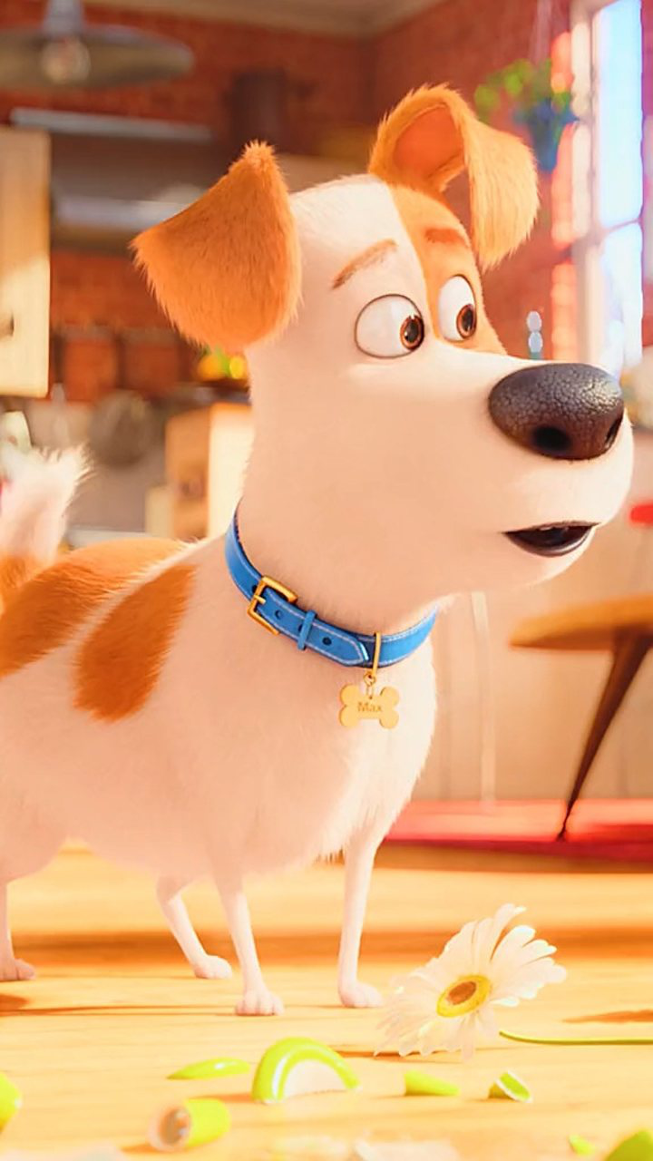 爱宠大机密麦克和杜老大cp组合._腾讯视频