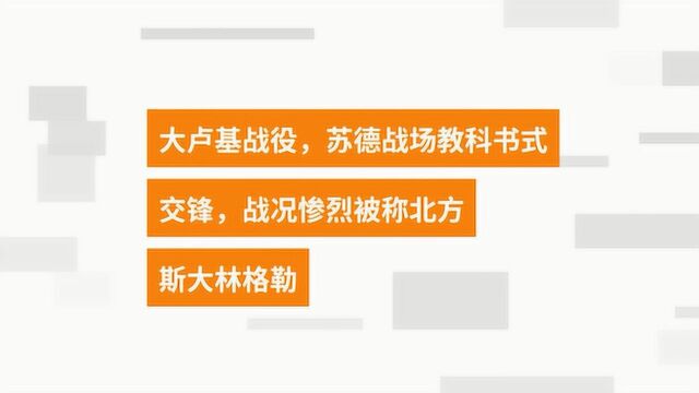 二战历史,苏德战场教科书级攻防战,堪比北方斯大林格勒