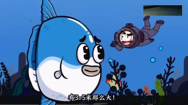 搞笑动画:比鲨鱼还沙雕的物种来了!这冷知识太搞笑了.