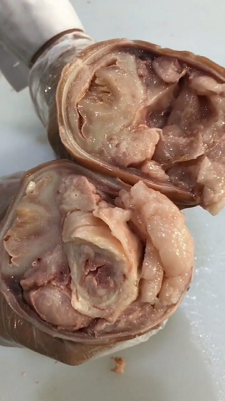 刚刚做好的驴碗口,里面非常的肥,但是一点都不油腻