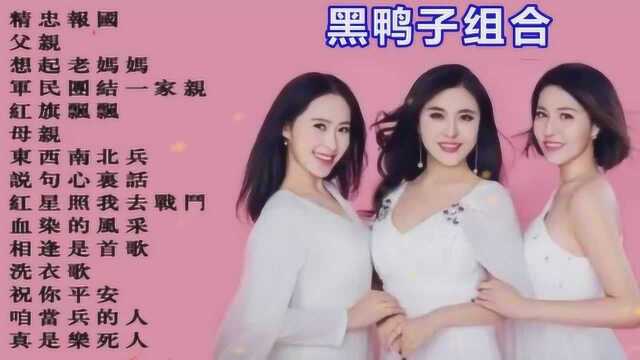 黑鸭子组合《经典歌曲联唱》