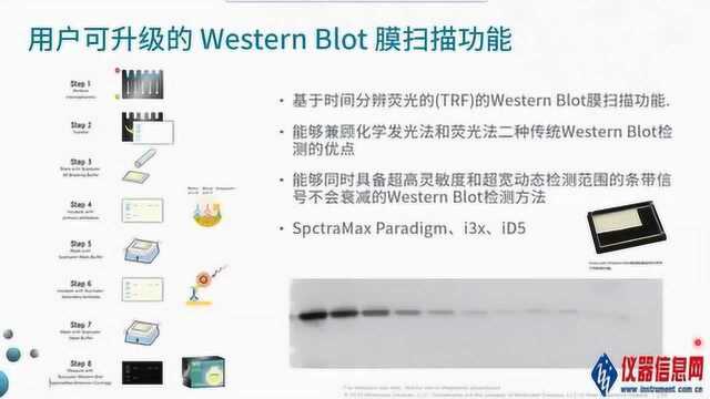 网络讲堂:细胞信号通路那些事儿