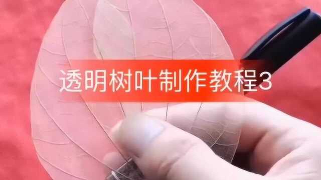 透明树叶制作教程来啦,不看后悔