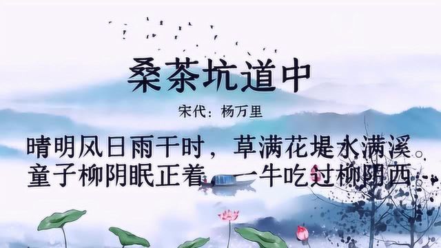 古诗朗诵:杨万里《桑茶坑道中》晴明风日雨干时,草满花堤水满溪