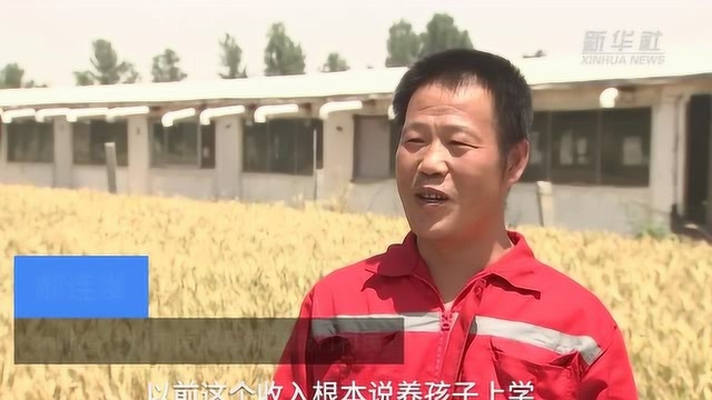 河北南皮:“百企帮百村”结对帮扶助力脱贫攻坚