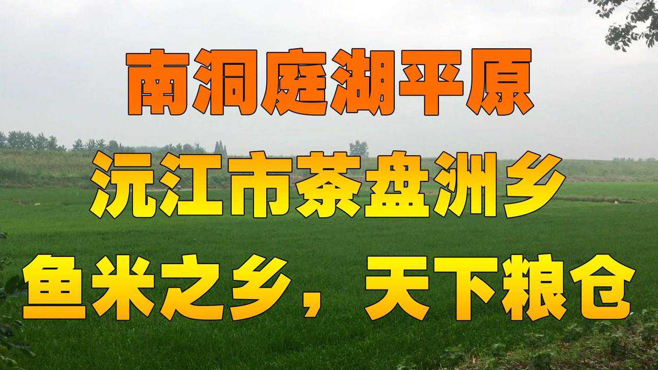 「原创」南洞庭湖平原沅江茶盘洲,鱼米之乡,天下粮仓(4)