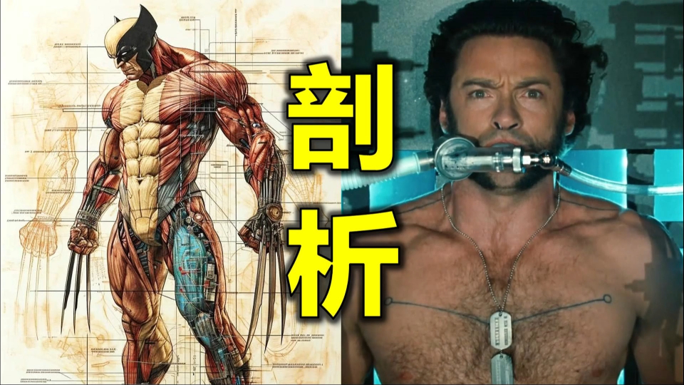 剖析:金刚狼的身体,哪个男人不想要?