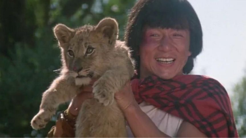 龙叔在野外抱小狮子玩,怎料狮子王就在附近,这下精彩了