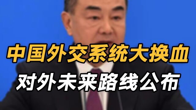 中国外交系统大换血,对外未来路线公布,5个关键词、6点目标