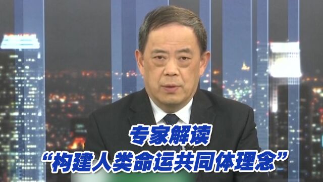 “构建人类命运共同体理念”给世界发展带来了什么?专家解读