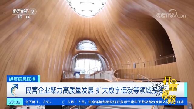 民营企业聚力高质量发展,扩大数字低碳等领域投资