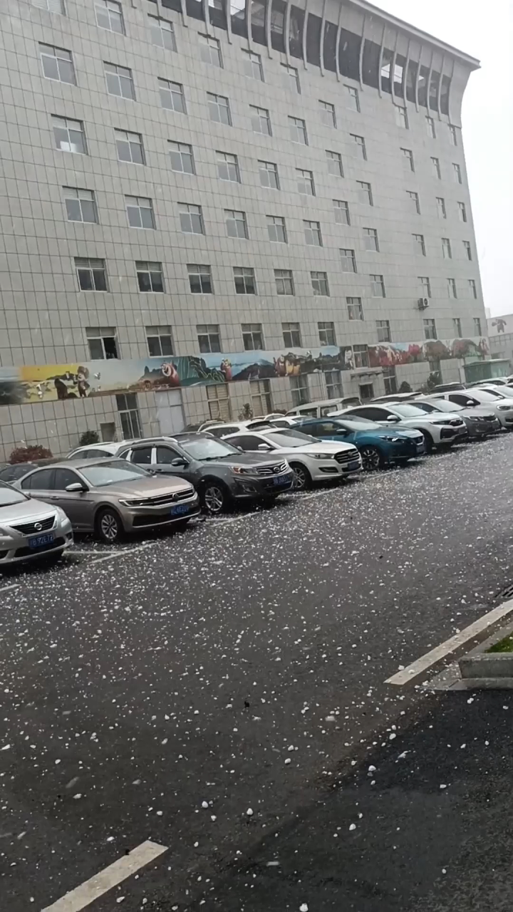 江西赣州突降鸡蛋大冰雹砸穿车玻璃