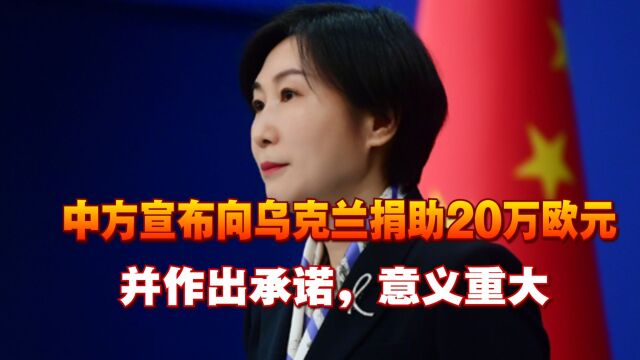 紧要关头,中方宣布向乌克兰捐助20万欧元,并作出承诺,意义重大