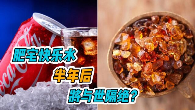 肥宅快乐水半年后将与世隔绝?