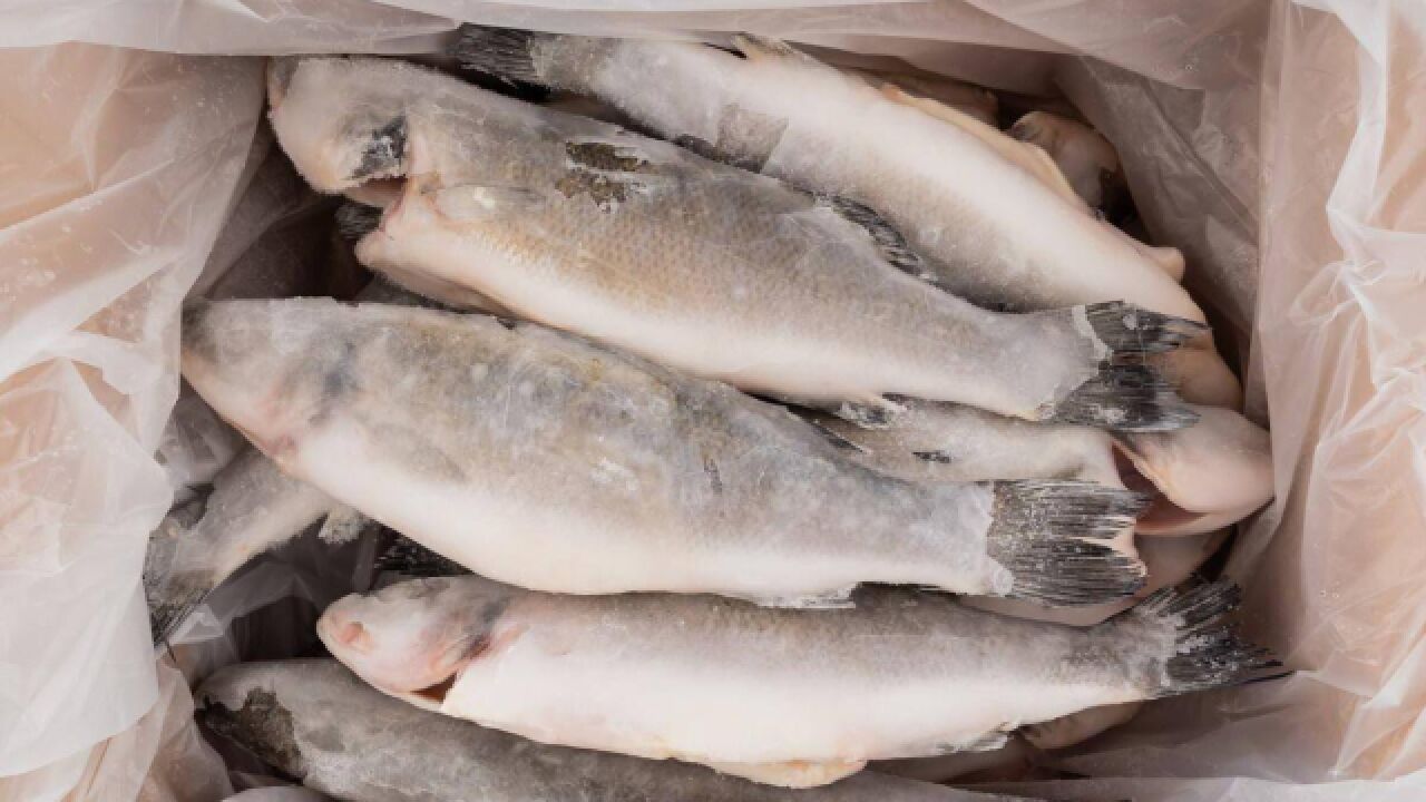 鱼怎么保鲜急冻( 鱼要怎么保存冷冻 )