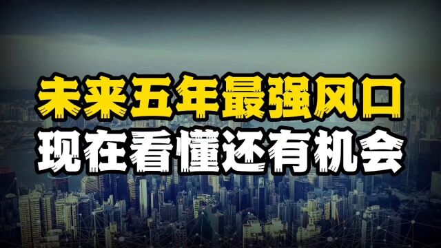 数字化到底是什么,凭什么成未来五年最强风口?现在看懂还有机会