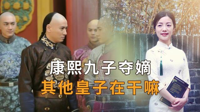 康熙有35个儿子,“九子夺嫡”时其他皇子在干嘛?结局怎样?