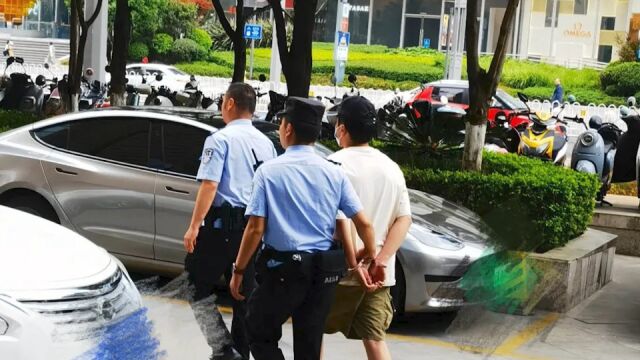 柜员质疑账户进账0.79元报警查出电诈,及时将可疑信息报送民警