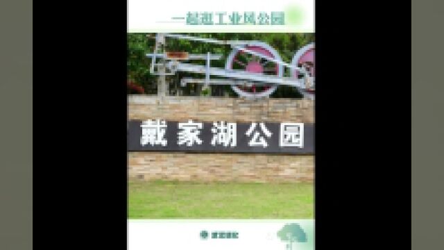 逛逛新园 | 一起逛工业风公园