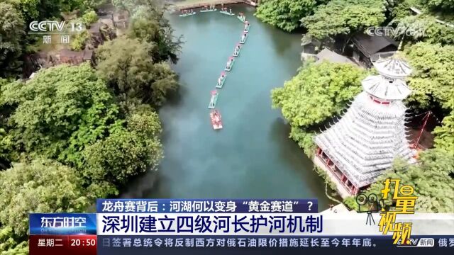 龙舟赛:河湖何以变身“黄金赛道”?深圳建立四级河长护河机制