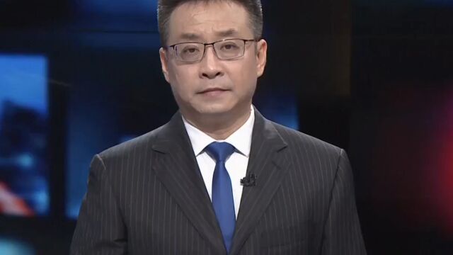 澳大利亚救助搁浅领航鲸失败 40余头鲸实施安乐死