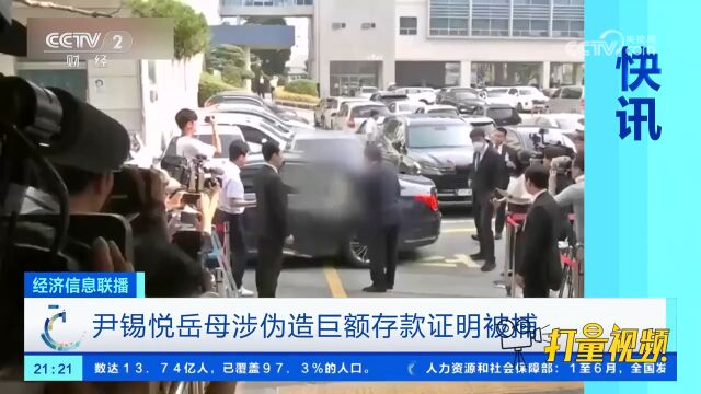 尹锡悦岳母涉伪造巨额存款证明被捕