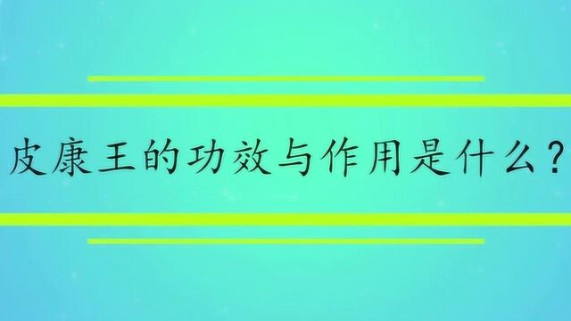 皮康王的功效与作用是什么?