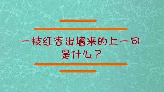 一枝红杏出墙来的上一句是什么?