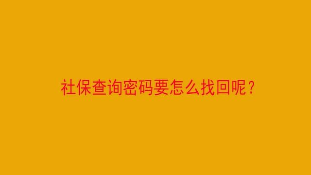 社保查询密码要怎么找回呢?