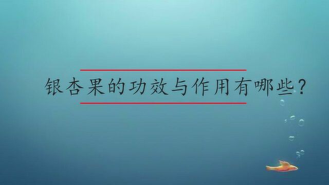 银杏果的功效与作用有哪些?