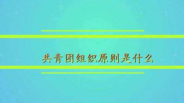 共青团组织原则是什么