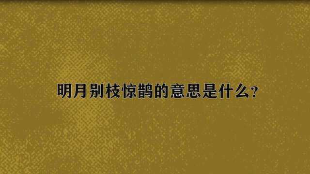 明月别枝惊鹊的意思是什么?