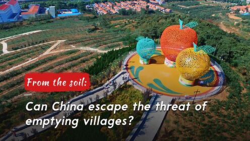 新乡土中国：中国乡村能逃脱空壳村的命运吗?