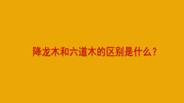 降龙木和六道木的区别是什么?