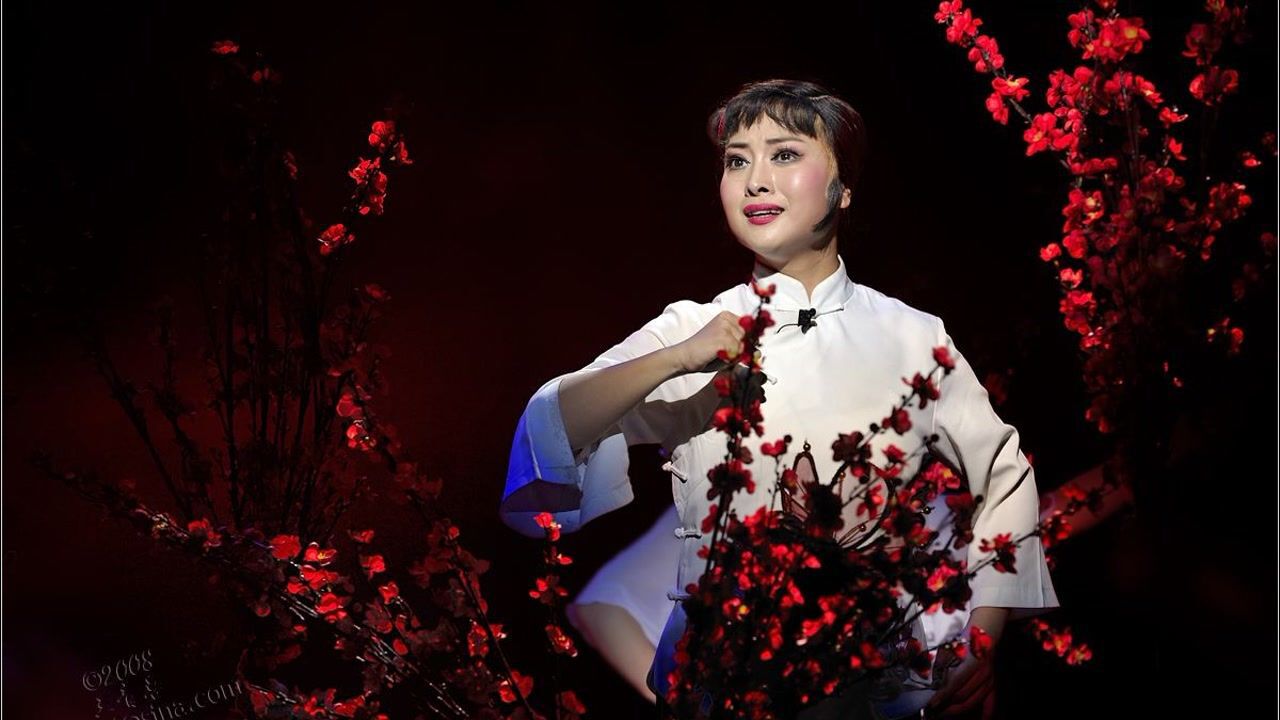 【豫剧小皇后-王红丽】《血泪太行》不愧是小皇后,嗓子真好