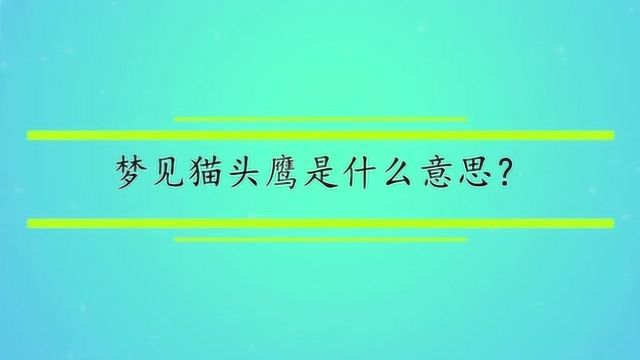 梦见猫头鹰是什么意思?