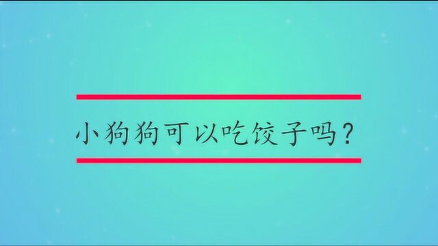 小狗狗可以吃饺子吗?