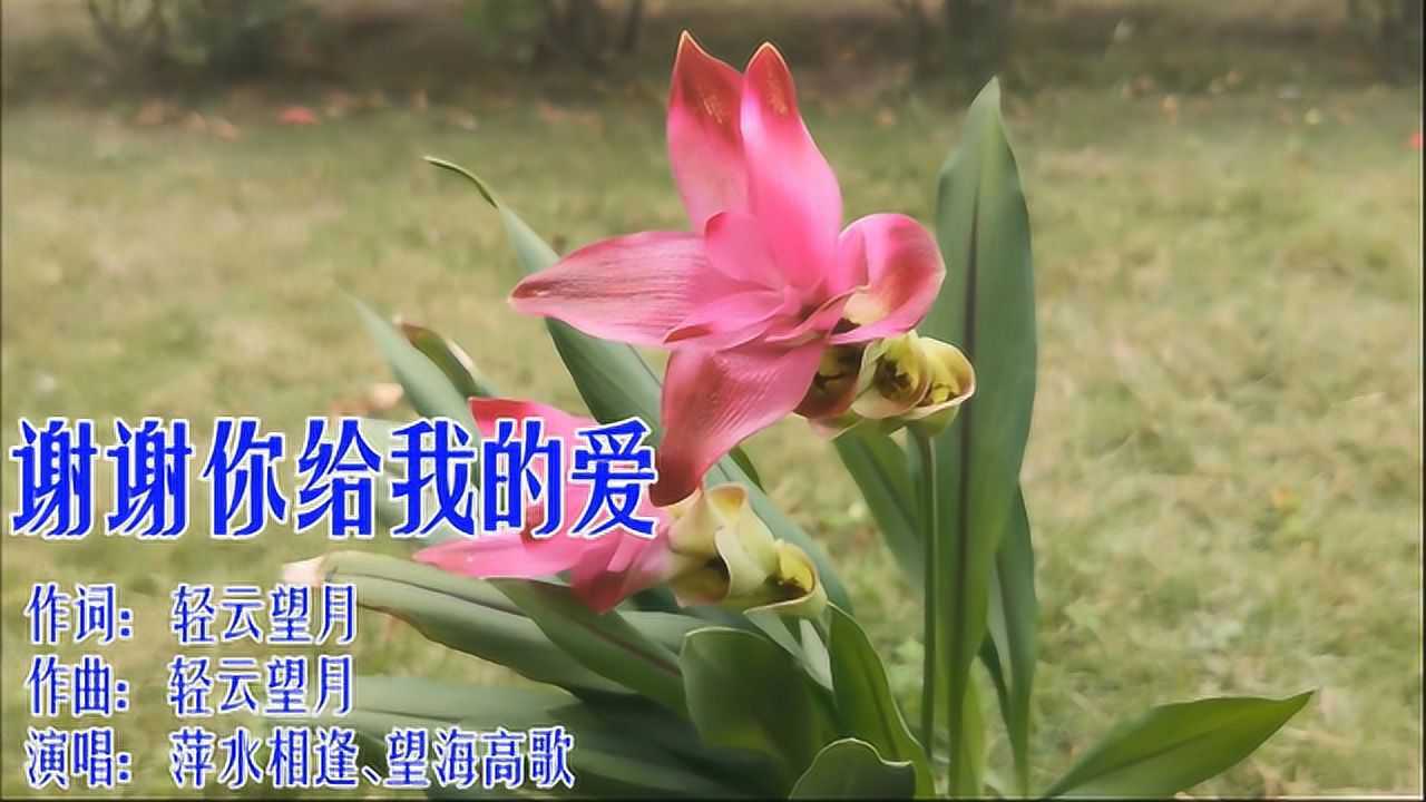 新歌!一首《谢谢你给我的爱》情歌对唱,好听极了!