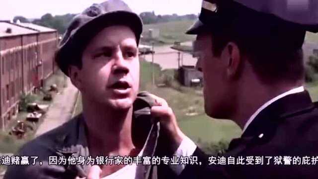 1994年上映,评分9.6,影史第一的经典大片,没网友给差评