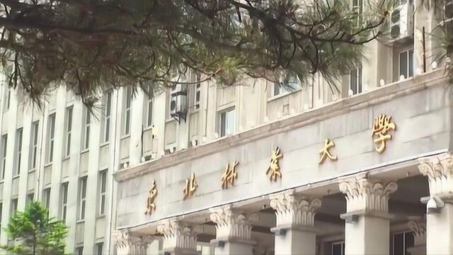 中国面积最大的大学,相当于75个北大,85个清华,22个首都机场