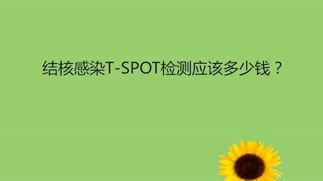 结核感染TSPOT检测应该多少钱?