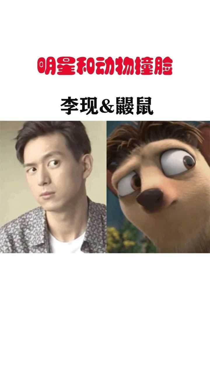 明星和动物撞脸,李现和鼹鼠表情神同步,看到刘昊然笑出鼻涕泡