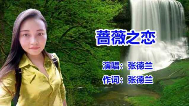 张德兰《蔷薇之恋》粤语歌曲