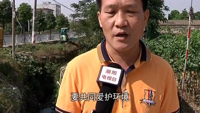 潮阳区苗圃场黑臭沟渠以及周边垃圾已整治清理