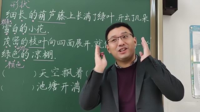 小学二年级语文看图写话,老师教大家举一反三,课堂效果真棒!