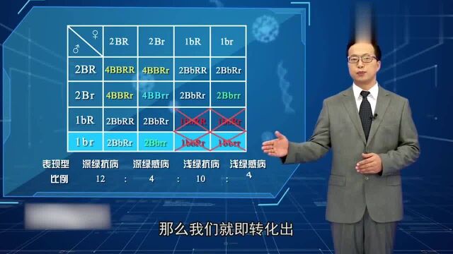 自由组合定律解题技巧:精品课程,考生必会